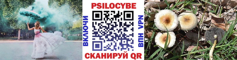 Купить  Лаишево  Галлюциногенные грибы Psilocybine cubensis 